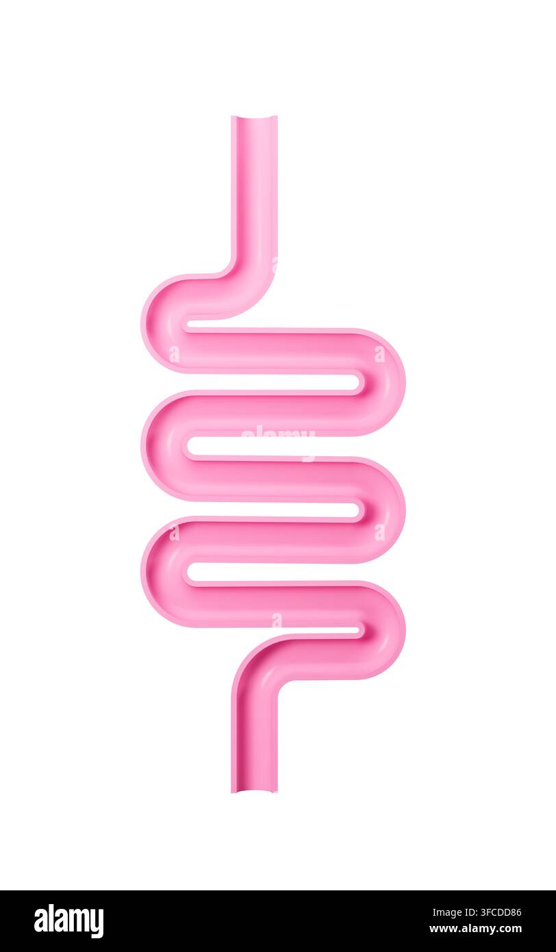 Tratto intestinale umano e sistema digestivo, rendering 3D. Illustrazione 3D. Foto Stock