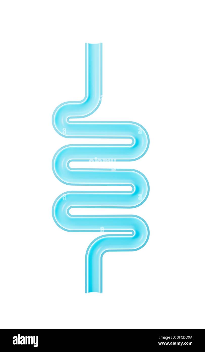Tratto intestinale umano e sistema digestivo, rendering 3D. Illustrazione 3D. Foto Stock