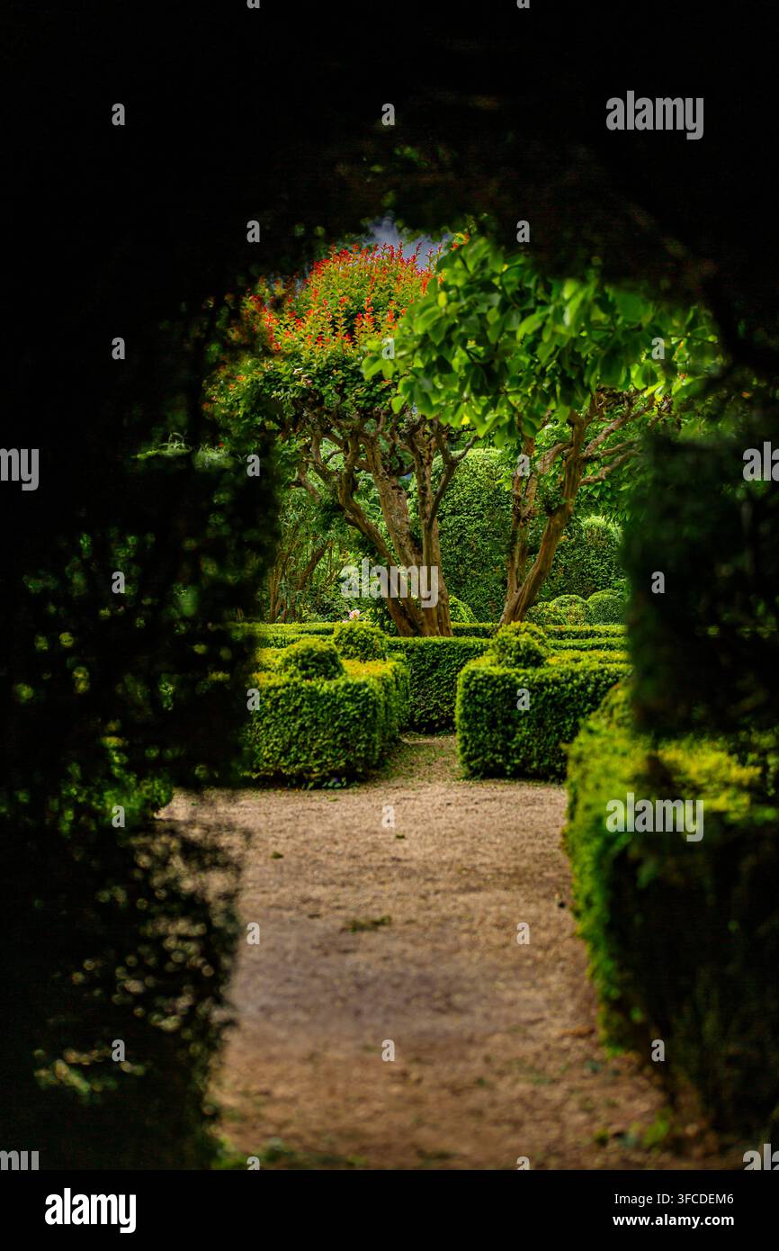Amarante, Valle del Douro, Portogallo Un sentiero incorniciato da siepi scure conduce a un giardino illuminato dal sole. Alberi e vegetazione brillano nella luce calda. Perfetto per viaggi o na Foto Stock