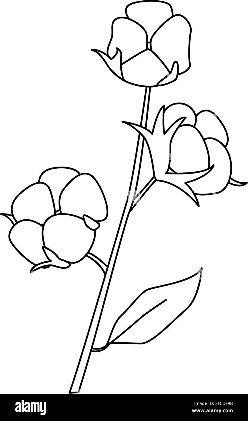 Disegno a linea bianco e nero di un ramo di cotone con tre capsule di cotone e una singola foglia. Illustrazione botanica pulita perfetta per l'agricoltura Illustrazione Vettoriale