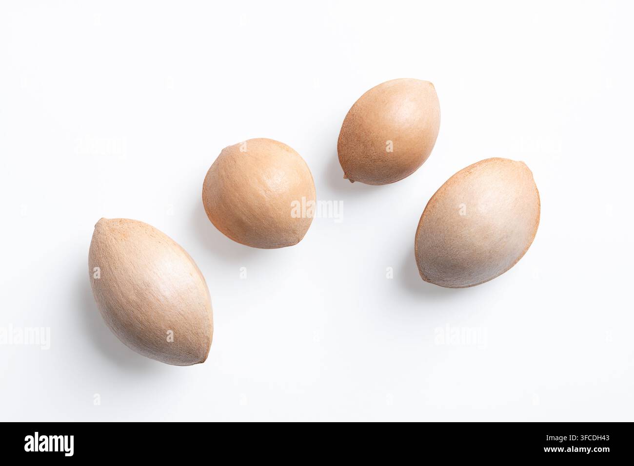 Noci di ginkgo essiccate intere, di colore chiaro, dure, semi allungati di Ginkgo biloba nel loro guscio, visti dall'alto, su bianco. Foto Foto Stock