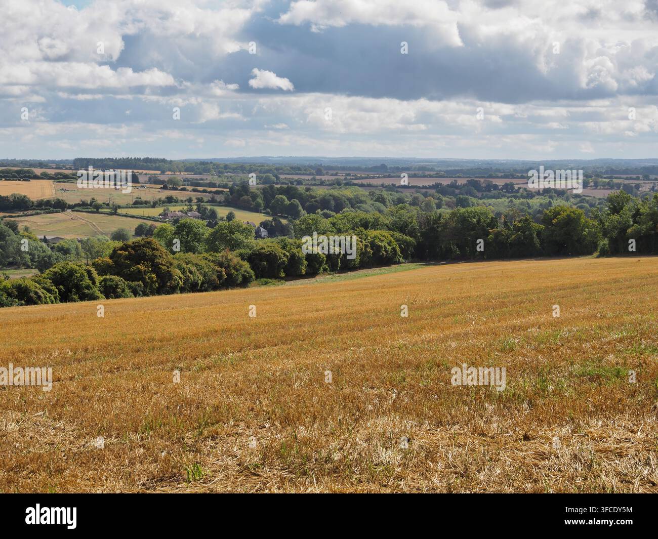 Vista sulla campagna ondulata da Stoke Hill, Hampshire Foto Stock