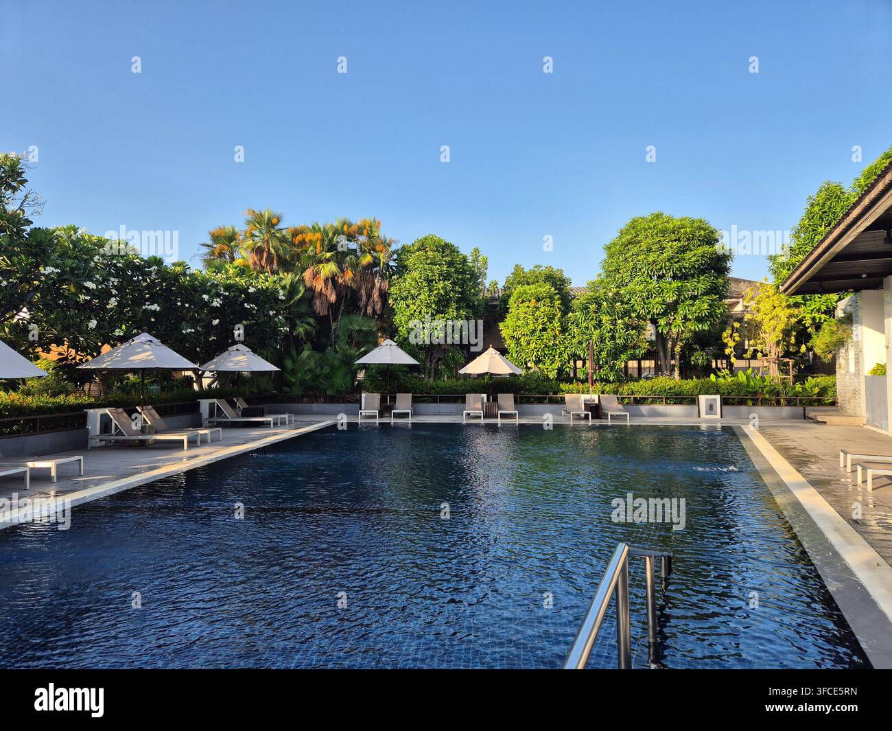 Piscina all'aperto circondata da alberi tropicali e lettini in un resort di lusso sotto un cielo blu limpido, Pattaya, Thailandia, Asia - luglio 2026 - Immagine stock catturata con smartphone