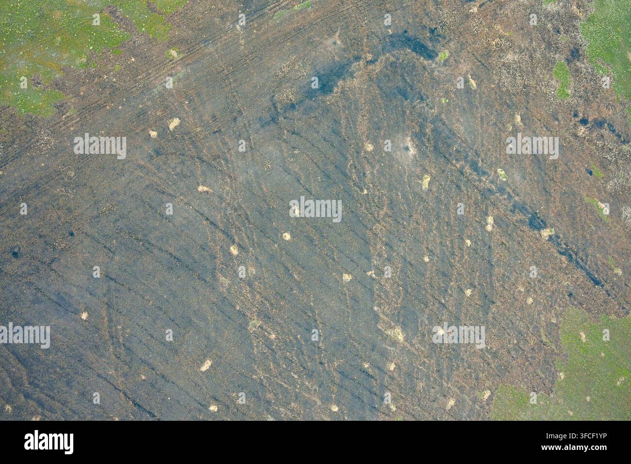 Vista aerea dettagliata di terreno eroso e sterile con fessure nel suolo secco, macchie salate e terreno degradato, che mostra danni ambientali e la degradazione dell'ecosistema naturale. Foto Stock