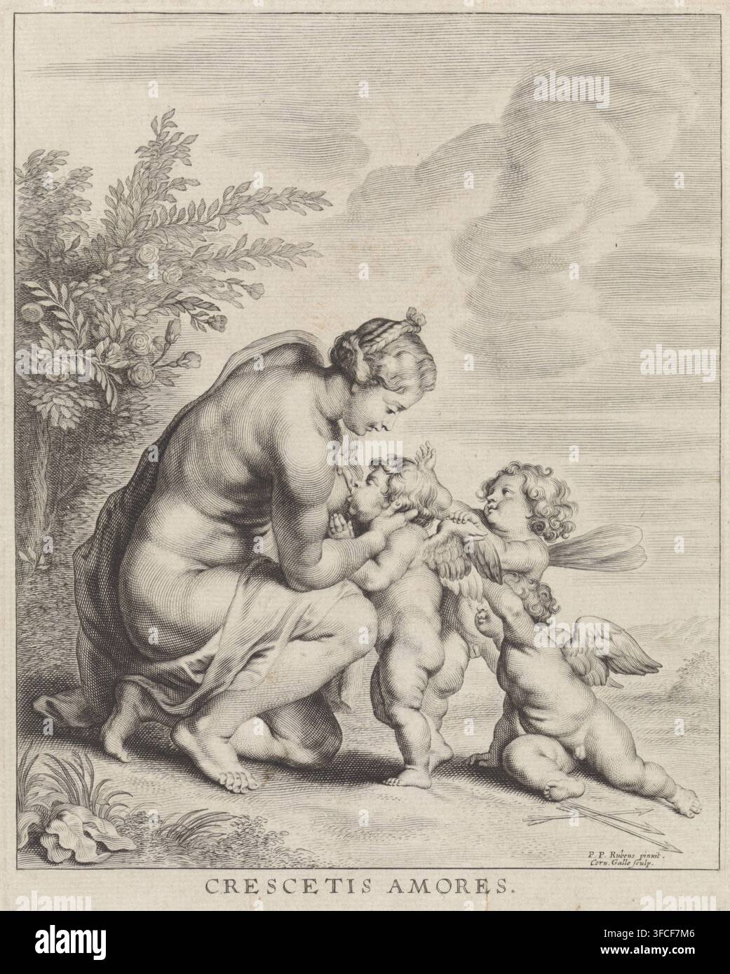 Venere allatta tre amori, Crescetis Amores, stampa, Venere inginocchiata a terra allatta Amore. Altri due putti, uno con ali e l’altro con ali di libellula, aspettano in fila per essere a loro volta allattati., incisore: Cornelis Galle (II), Anversa, Sud dei Paesi Bassi, dopo un dipinto di Peter Paul Rubens, c. 1610 - c. 1678, carta, incisione, altezza 219 mm x larghezza 173 mm, Venere che allatta Cupido., Una donna seduta vista di profilo si china in avanti verso un gruppo di neonati alati; ha i capelli intrecciati e un drappo intorno alla parte inferiore del corpo, e culla un neonato che le sta di fronte mentre Foto Stock