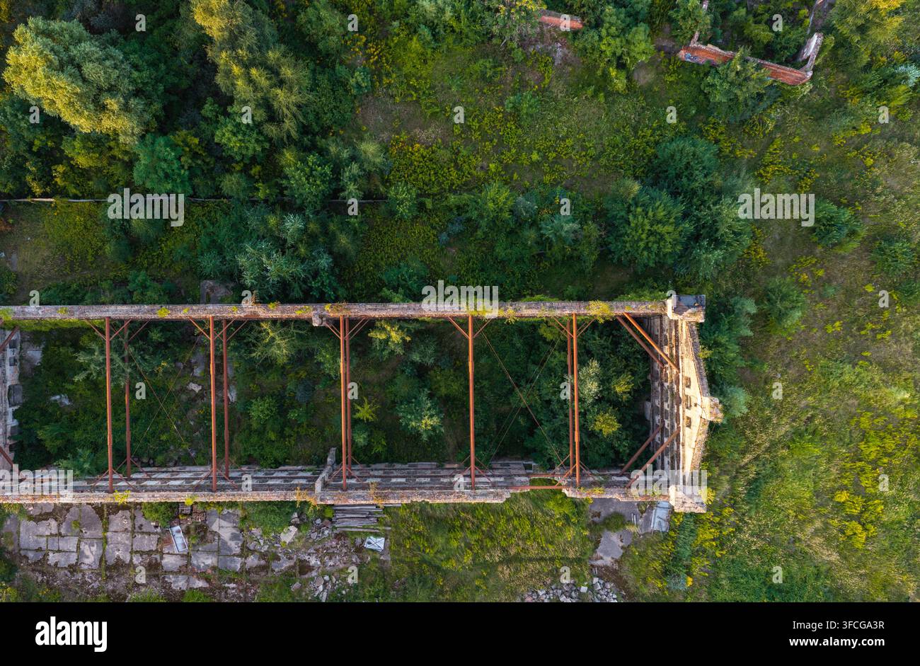 Veduta aerea di una struttura industriale in rovina con travi metalliche esposte e vegetazione verde rigogliosa che cresce all'interno delle pareti a Danzica, Pomerania Foto Stock