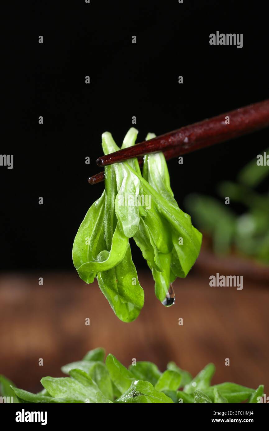 Verdura a foglia verde appassita tenuta da bacchette contro uno sfondo nero. Foto Stock