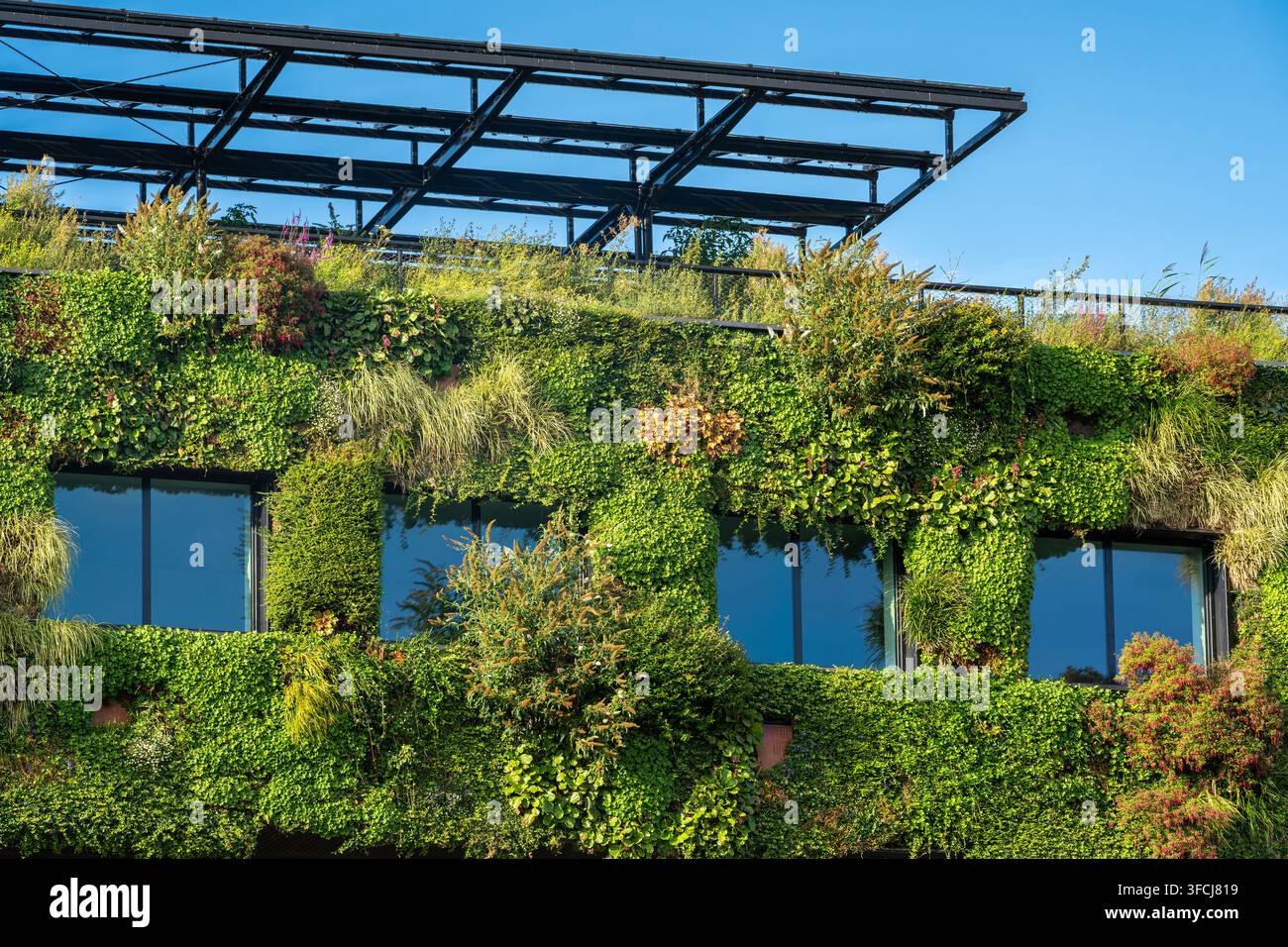 Finestre e muro di un edificio per uffici sostenibile e verde con facciata ricoperta da una varietà di piante Foto Stock