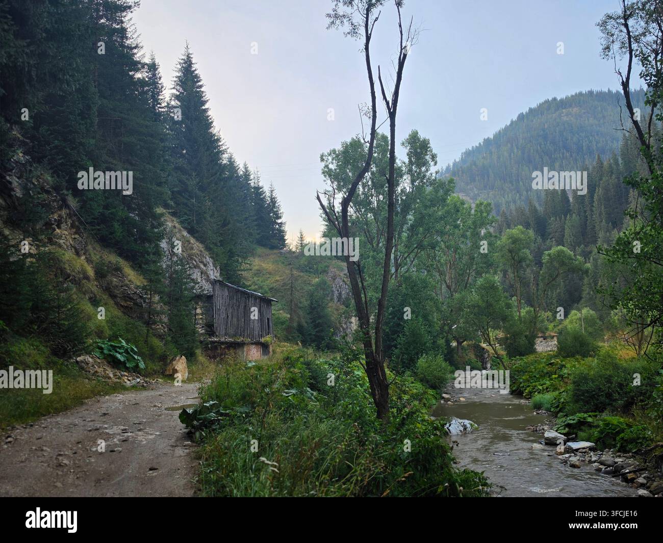 Ruscello di montagna e strada rurale vicino al villaggio di Mugla nelle montagne Rodopi, Bulgaria - Immagine stock catturata con smartphone