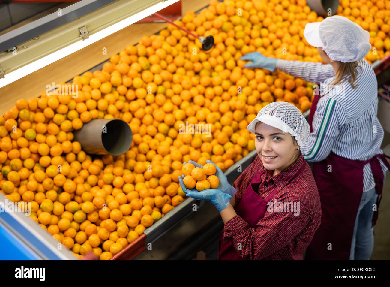 Due lavoratrici allegre tengono nelle loro palme i tangerini freschi e maturi. Vista dall'alto. Foto Stock