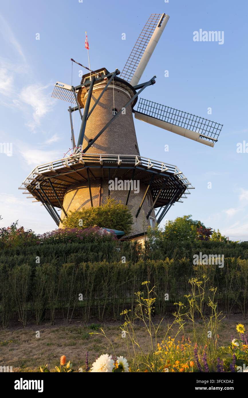 Mulino a vento olandese & paesaggio ad Alkmaar, Paesi Bassi, con pale, bandiera e aiuole di fiori Foto Stock