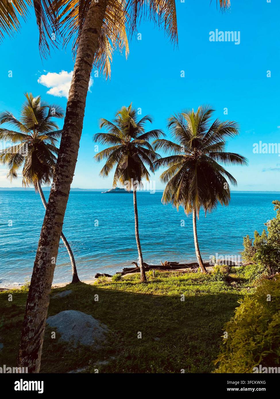 Le palme da cocco si ergono sopra una tranquilla riva tropicale, guardando attraverso l'acqua blu e limpida verso isole lontane all'orizzonte. - Immagine stock catturata con smartphone