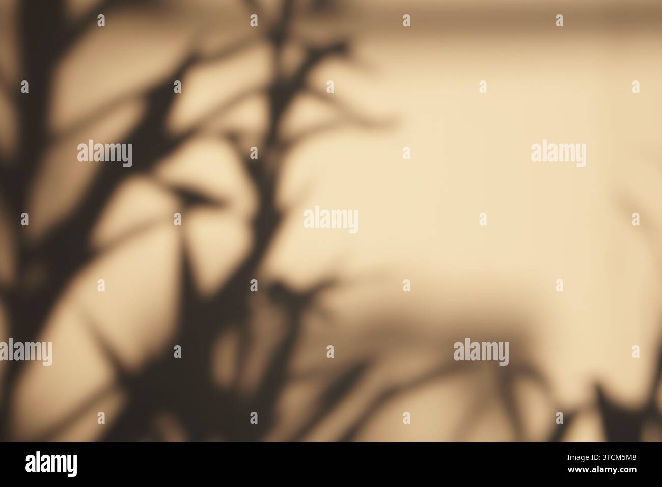 Ombre sfocate di rami d'albero proiettate su una parete beige calda che creano uno sfondo estetico minimalista. Foto Stock