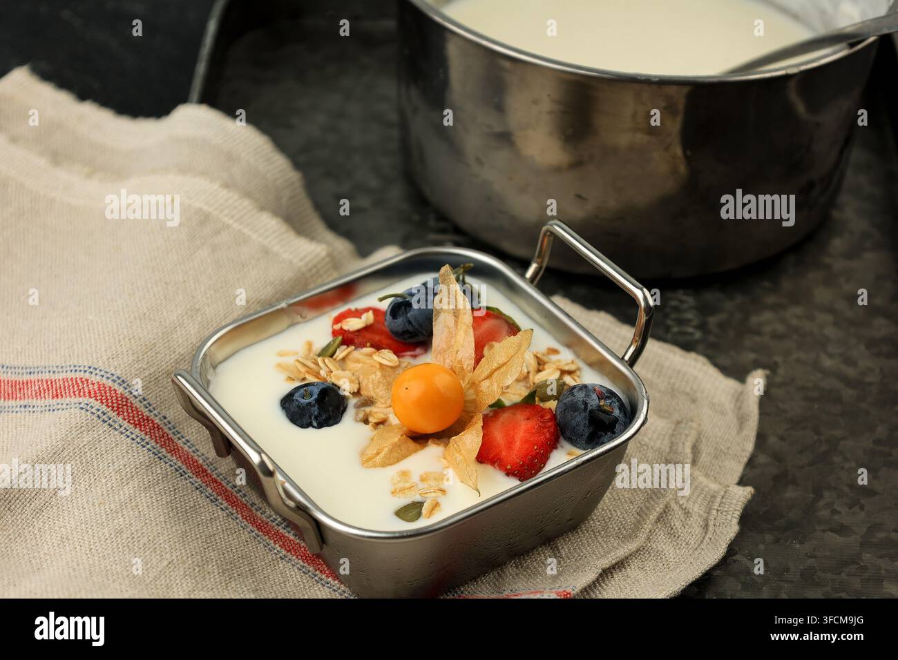 Parfait di yogurt greco con uva spina, fragola e mirtillo in ciotola quadrata in acciaio inossidabile, sfondo metallico, primo piano. Strati di yogurt con granola e Foto Stock