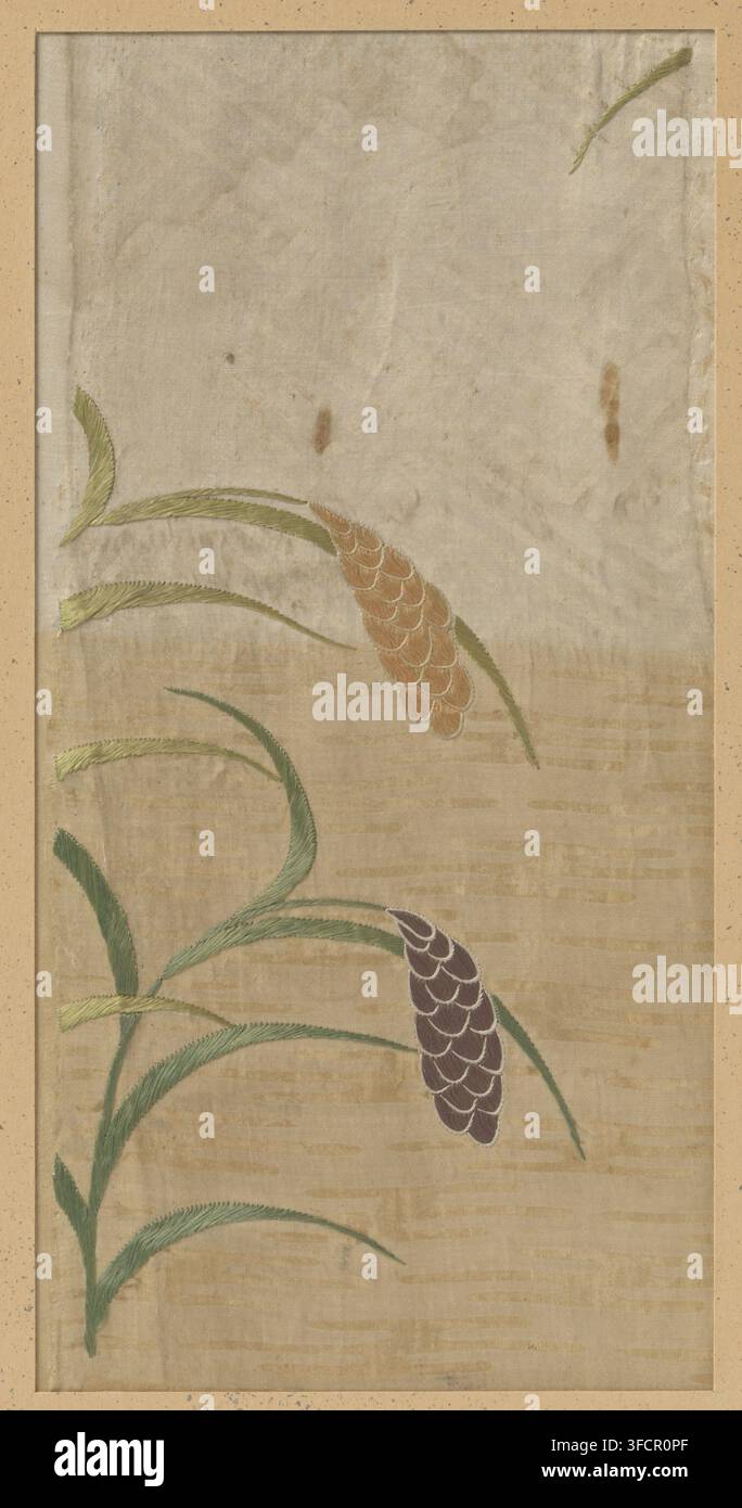 Frammento tessile, frammento, materiali tessili, ricamo di spighe di mais su damasco di seta., Giappone, 1658 - 1661, Scuola, Stile, Scuola d'arte asiatica, Manji, seta, altezza 28 cm x larghezza 14 cm., Un pannello rettangolare con uno sfondo beige screziato incorniciato da un bordo chiaro screziato mostra forme vegetali ricamate, tra cui lunghe foglie verdi curve rese con una trama di punti visibile e due teste di seme a forma di cono raggruppate fatte di forme squamose sovrapposte, una di un marrone caldo e l'altra di un viola profondo, ciascuna attaccata a steli verdi sottili; la superficie del tessuto mostra una sottile bandeggiatura orizzontale e Foto Stock