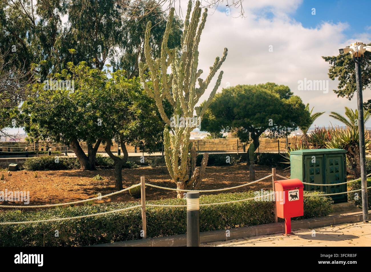 Giardino del parco cittadino recintato con cactus alto, piante tropicali e bidone per rifiuti canini rosso acceso sul marciapiede pedonale. Foto Stock
