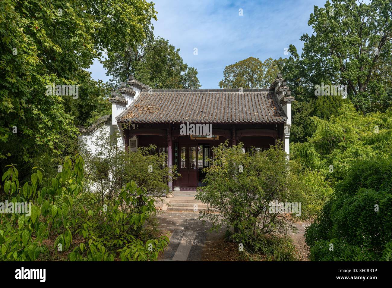 Giardino cinese nel Bethmannpark, Francoforte, Assia, Germania Foto Stock