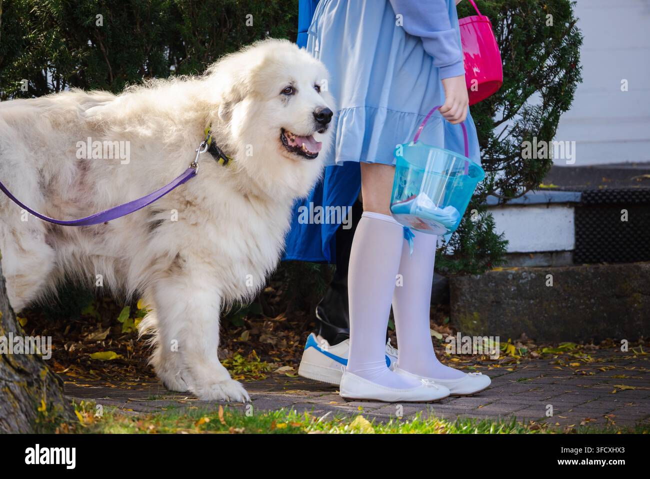 Cane bianco accanto a un bambino in costume di Halloween blu Foto Stock