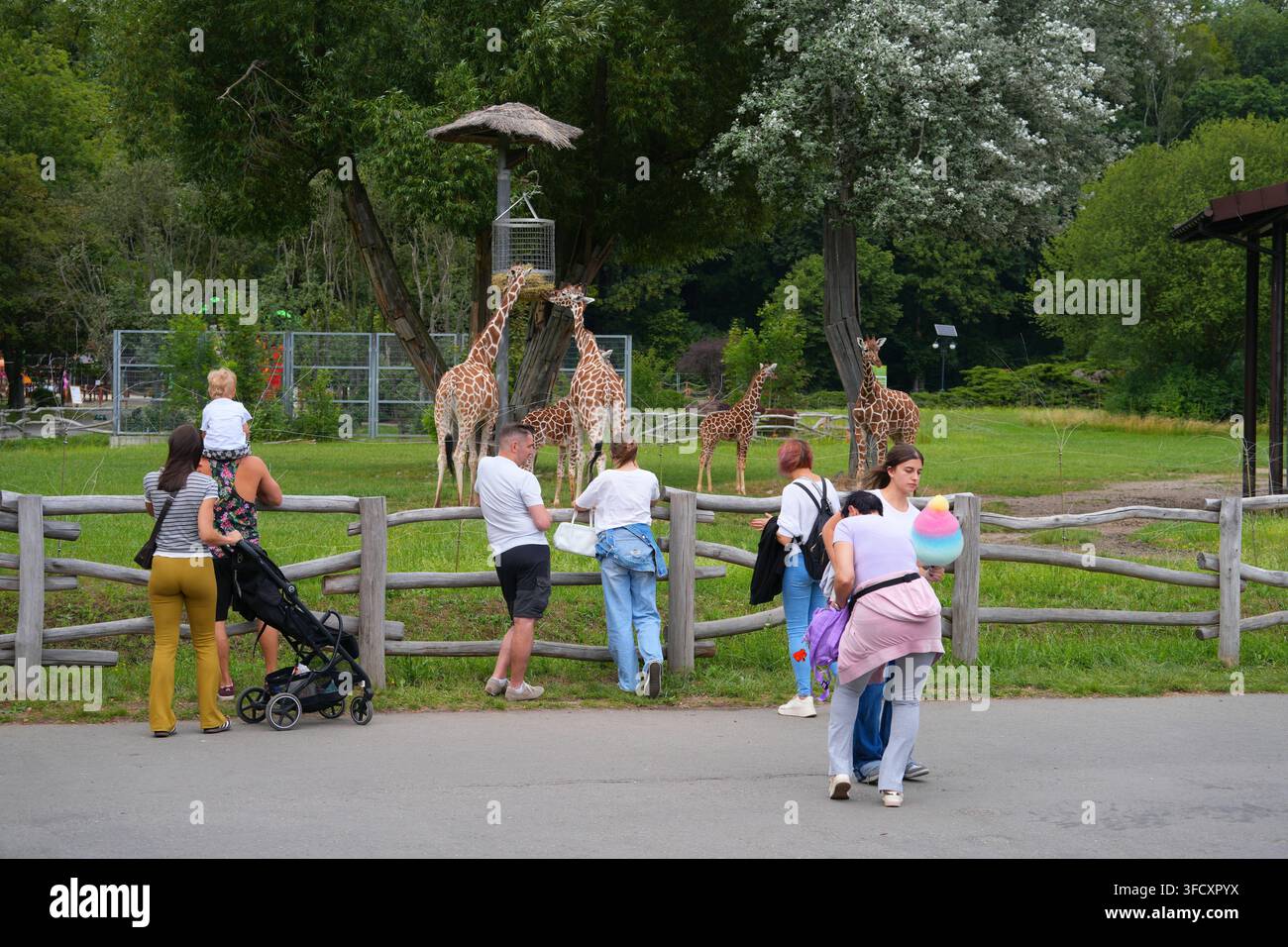 CHORZOW, POLONIA - 11 LUGLIO 2026: Persone visitano le giraffe allo zoo di Chorzow (Giardino Zoologico Slesiano) in Polonia. Foto Stock