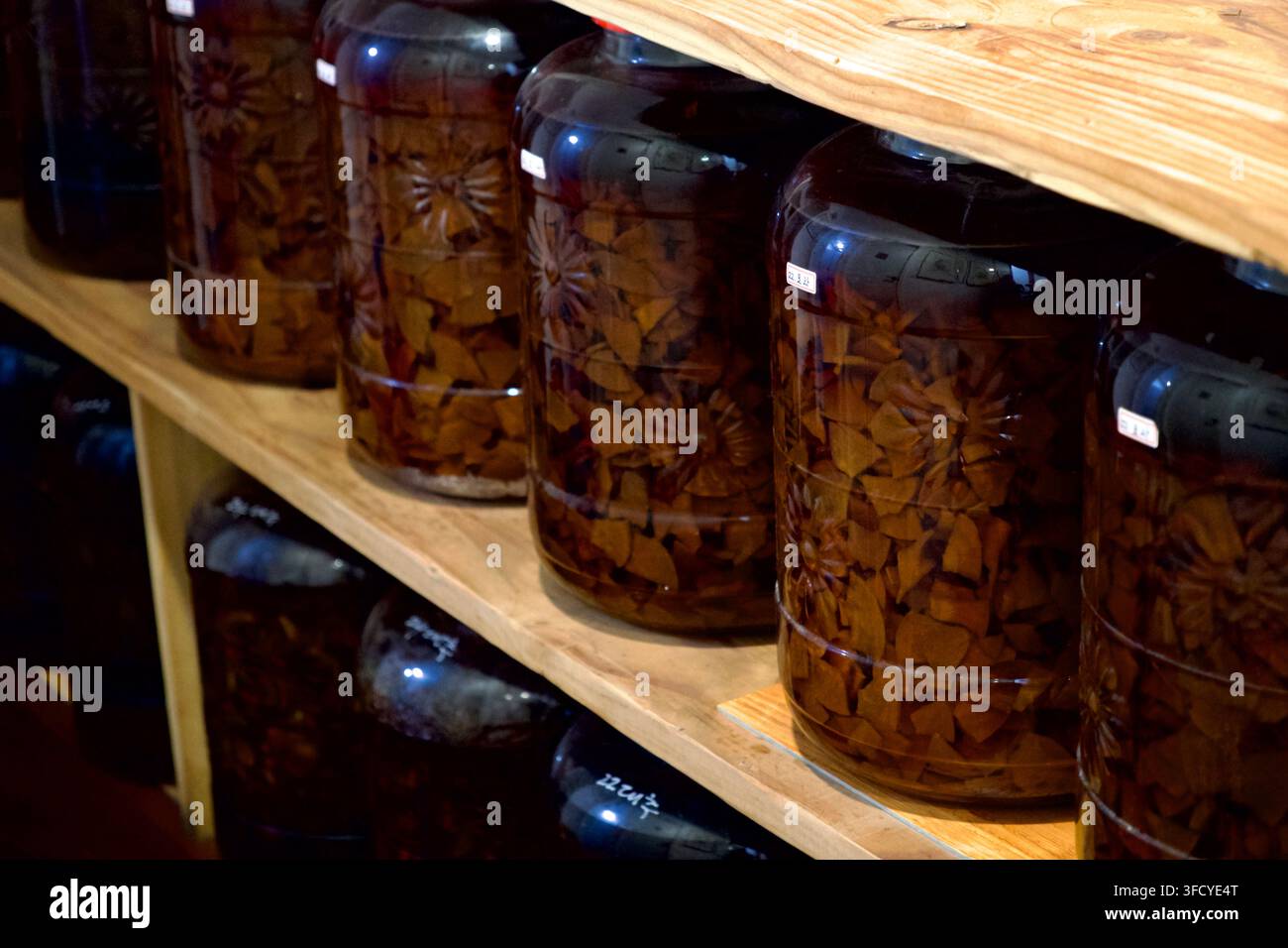 File di grandi barattoli di vetro contengono infusi di frutta e erbe fermentati su scaffali di legno a Bukchon Foto Stock