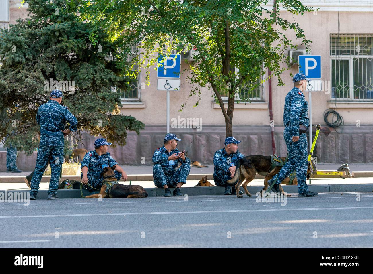 Biscikek, Kirghizistan - 28 agosto 2026: Unità K9 delle forze dell'ordine kirghise con cani da servizio in attesa di un'ispezione delle forze di sicurezza Foto Stock