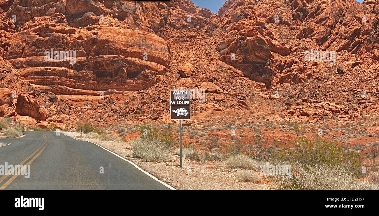 Un cartello "A Watch for Wildlife" lungo il lato di The White Domes Road, sostenuto da una montagna di arenaria rossa azteca, nel Valley of Fire State Park, Over - Immagine stock catturata con smartphone