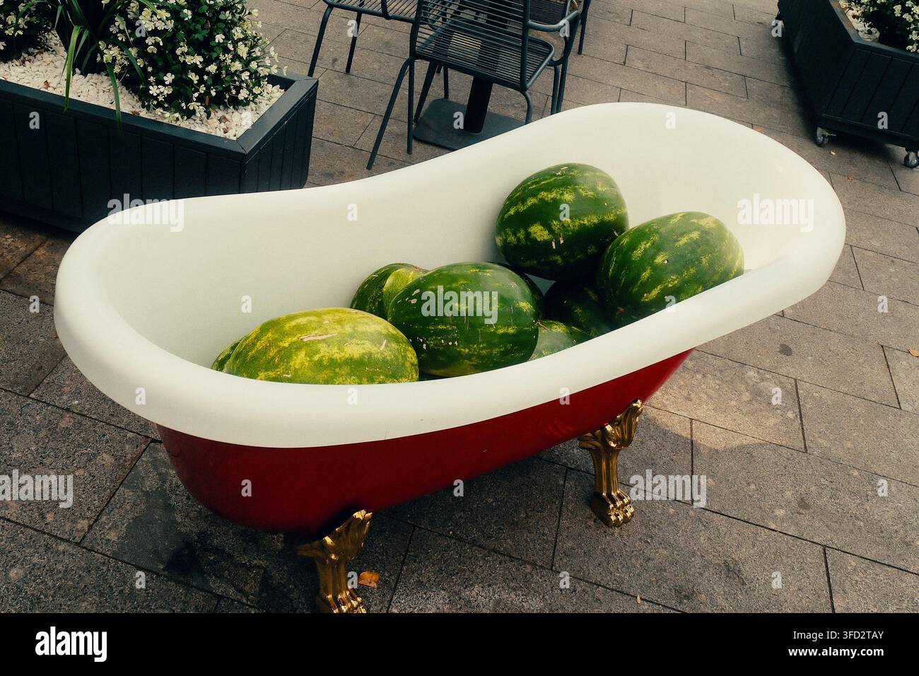 Vasca da bagno con piedi a artiglio rossi piena di angurie intere su un patio in pietra all'aperto vicino a vasi e sedie di metallo, con anguria Foto Stock