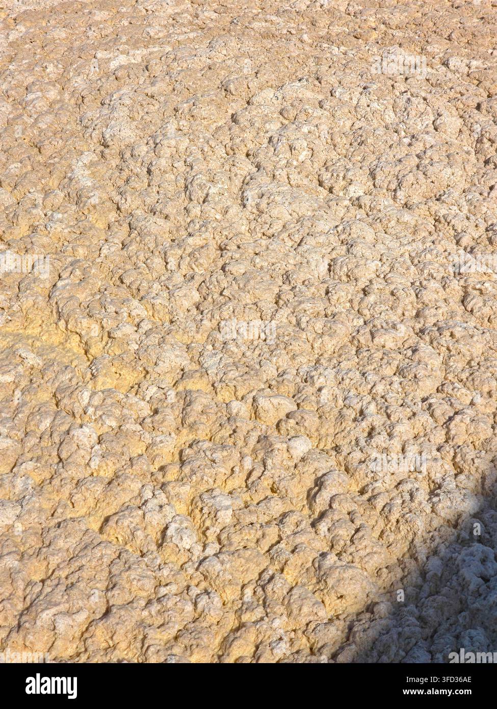 Una miscela unica di texture si dispiega sulla superficie sabbiosa vicino alla riva dove la schiuma crea un paesaggio intrigante sotto il sole luminoso, invitando all'esplorazione Foto Stock