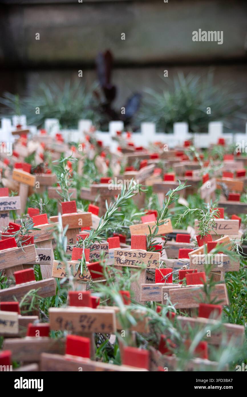 Campo della Memoria con croci di legno e papaveri rossi oltre a rosmarino per l'ANZAC Day. Foto Stock