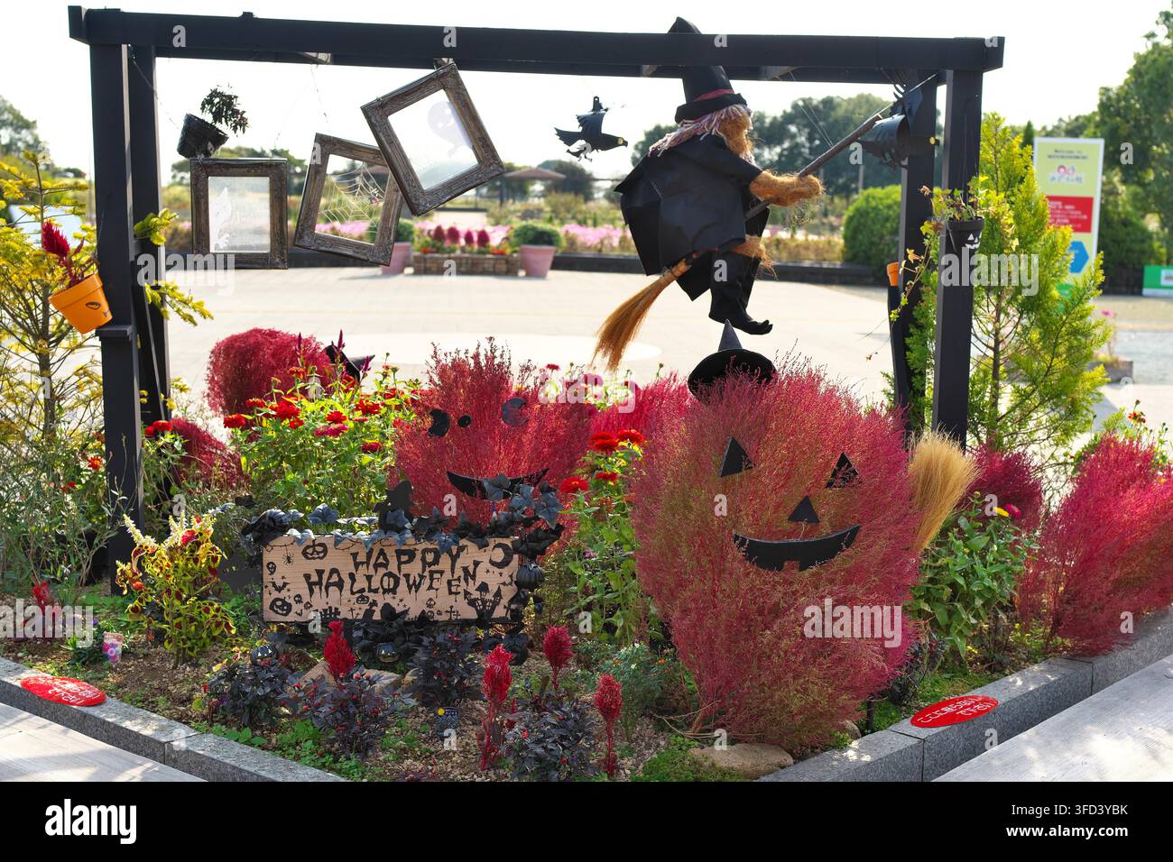 Decorazione di Halloween con cespugli di kochia rossi, una bambola di strega che vola su una scopa e un cartello di legno con la scritta "Happy Halloween" in un giardino botanico. Foto Stock