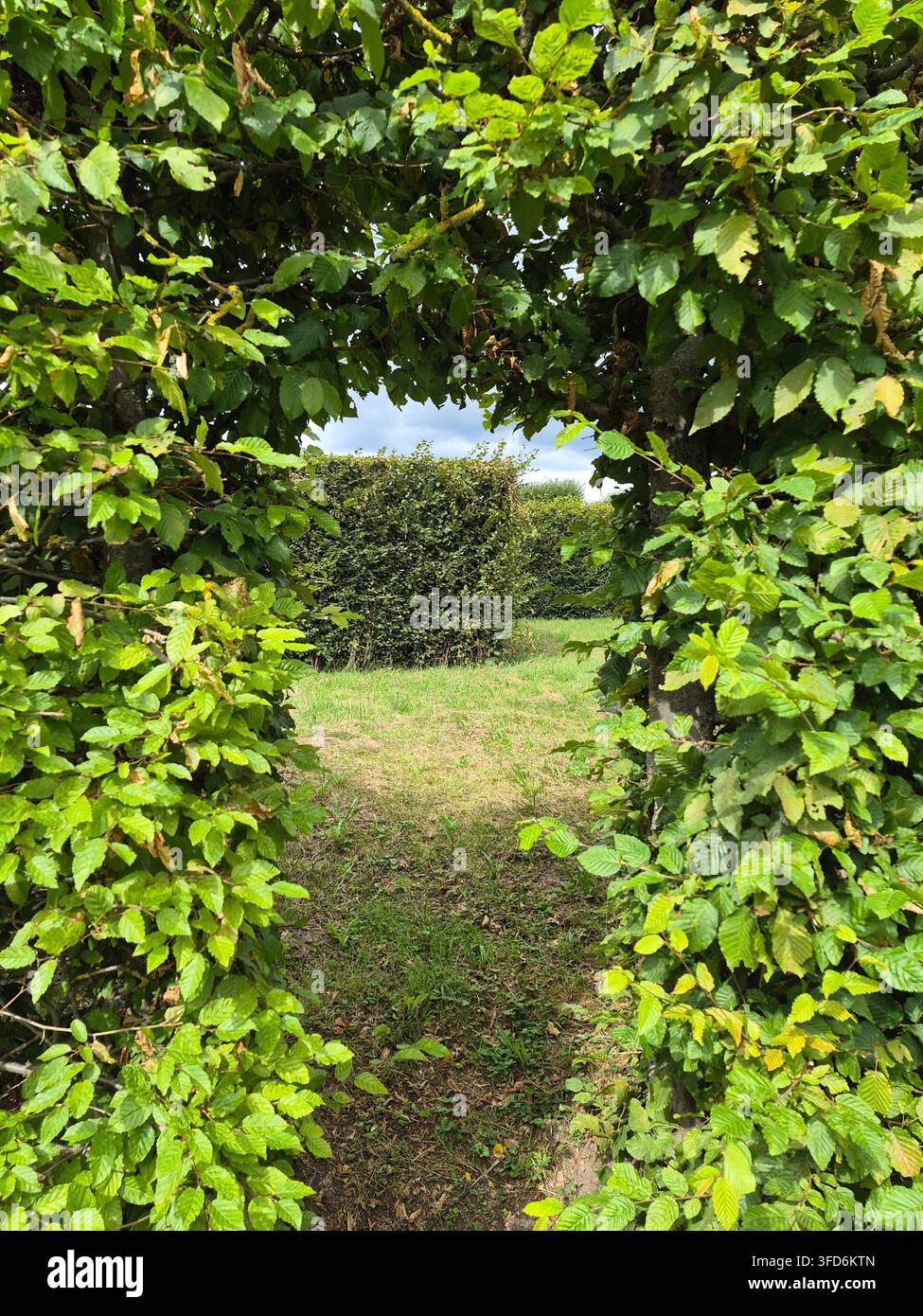Arco naturale verde in un giardino - Immagine stock catturata con smartphone