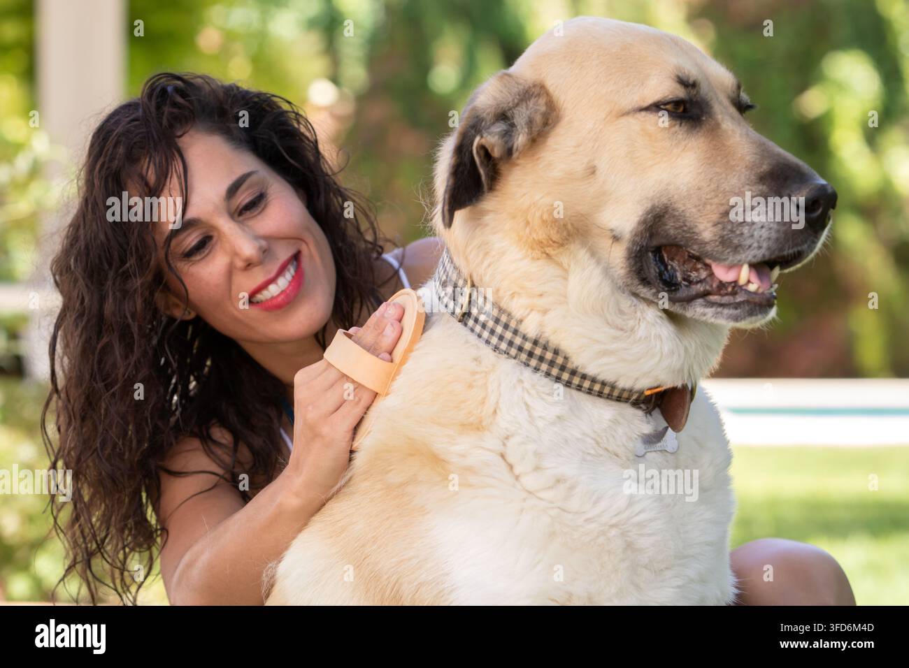 Donna che accudisce delicatamente un grosso cane all'aperto in un giardino soleggiato, illustrando il legame tra persone e animali domestici. Immagine di stile di vita caldo che rappresenta un'auto per animali domestici Foto Stock