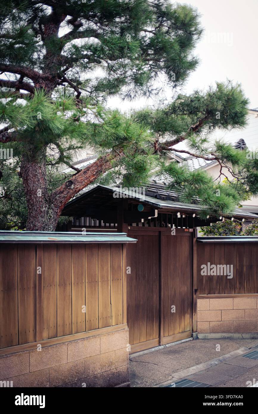 Ingresso di una residenza giapponese tradizionale antica a Kanazawa, Ishikawa, Giappone, circondata da alberi e da un muro di legno. Foto Stock