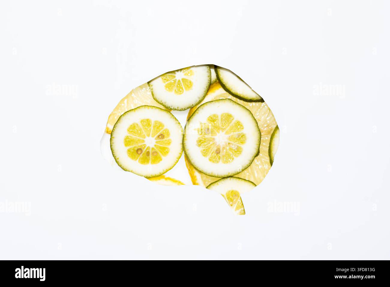 Concetto creativo di cervello sano formato da fette fresche di limone e lime disposte a forma di cervello umano su uno sfondo bianco pulito Foto Stock