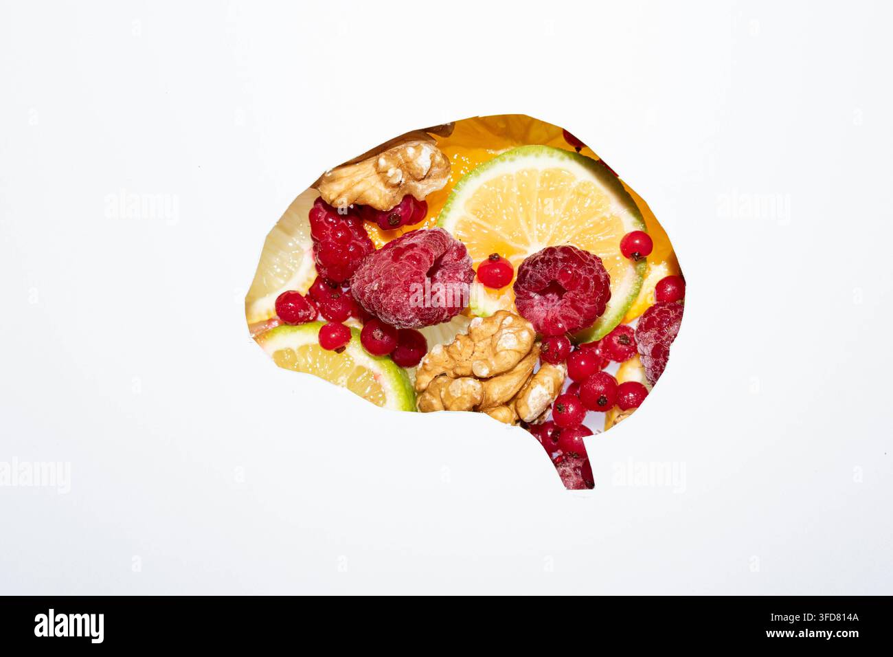Concetto creativo di cervello sano formato da frutta fresca, bacche, fette di agrumi e noci su uno sfondo bianco pulito con spazio per il testo. Foto Stock