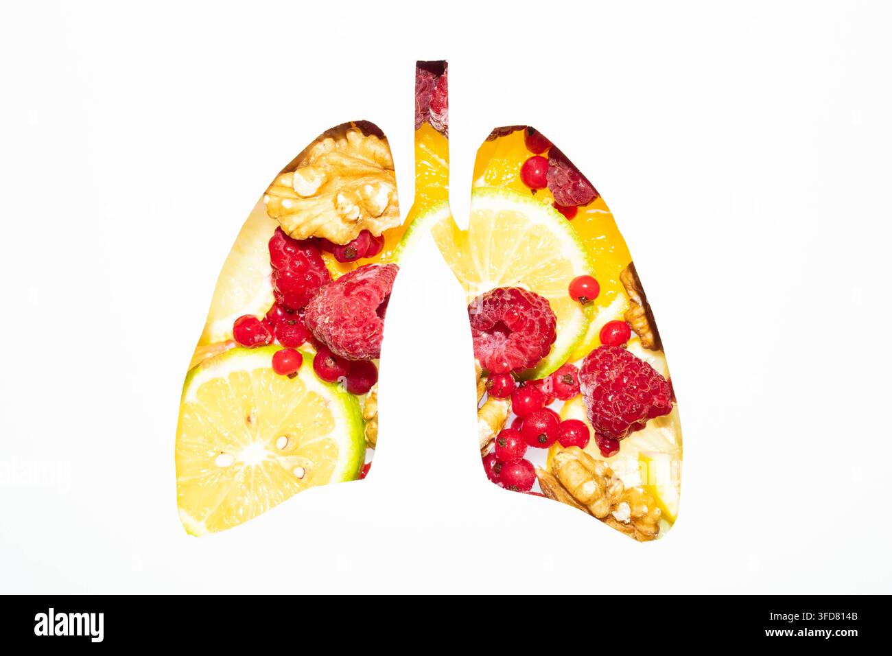 Concetto di polmoni sani realizzato con frutta fresca, bacche e foglie di menta isolati su sfondo bianco con spazio per il testo. Nutrizione creativa e respiratoria Foto Stock