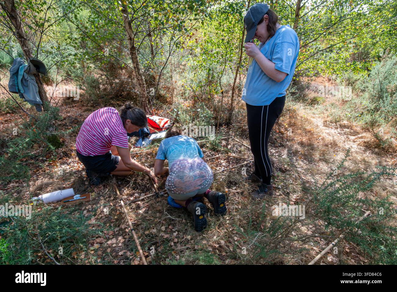 Lavoratori del campo che effettuano un'indagine botanica identificando specie vegetali in un quadrato, Inghilterra, Regno Unito Foto Stock
