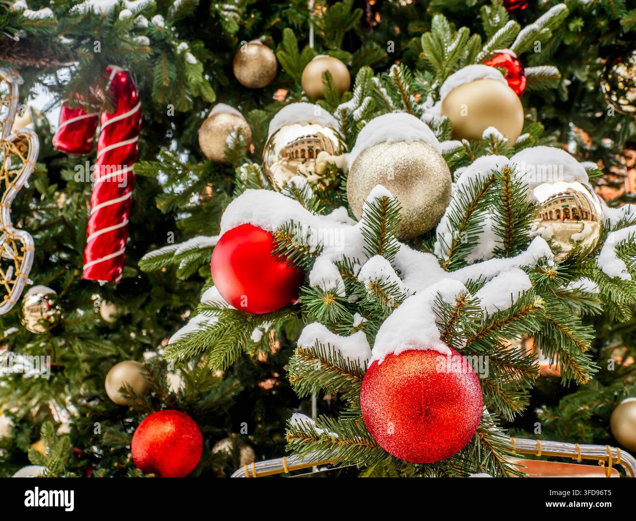 Rami di sempreverdi ricoperti di neve adornati con palline rosse e dorate e decorazioni a forma di bastoncini di zucchero creano un'atmosfera festiva delle festività, evocando calore, celebrazione Foto Stock