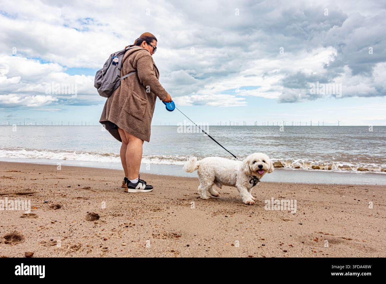 Una signora porta a spasso il suo piccolo cane Cavapoo bianco e soffice sulla spiaggia di Skegness nel Lincolnshire, UK, in una nuvolosa giornata estiva Foto Stock