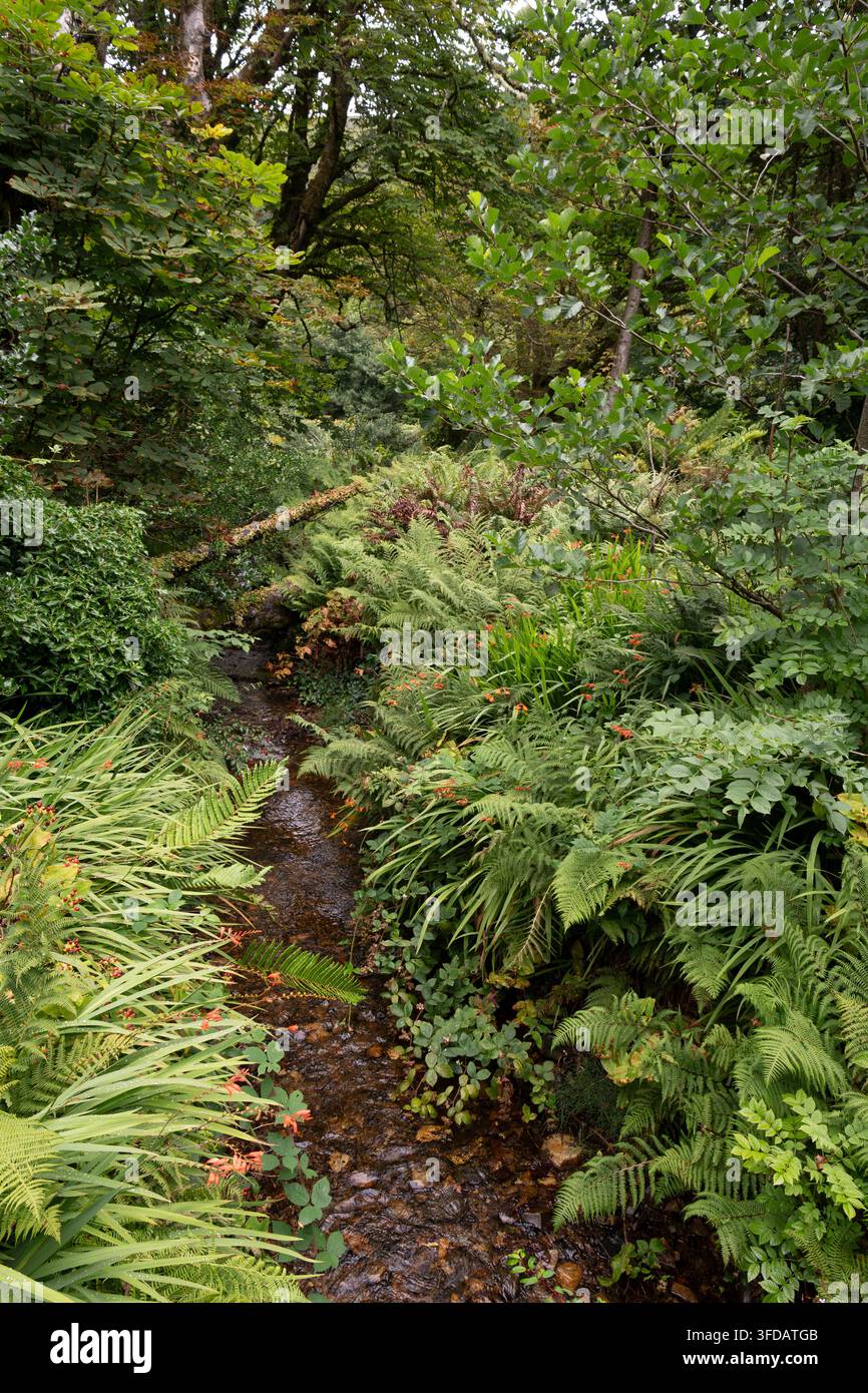 Un piccolo ruscello nel giardino recintato vittoriano dell'Abbazia di Kylemore, Connemara, Irlanda, Europa Foto Stock