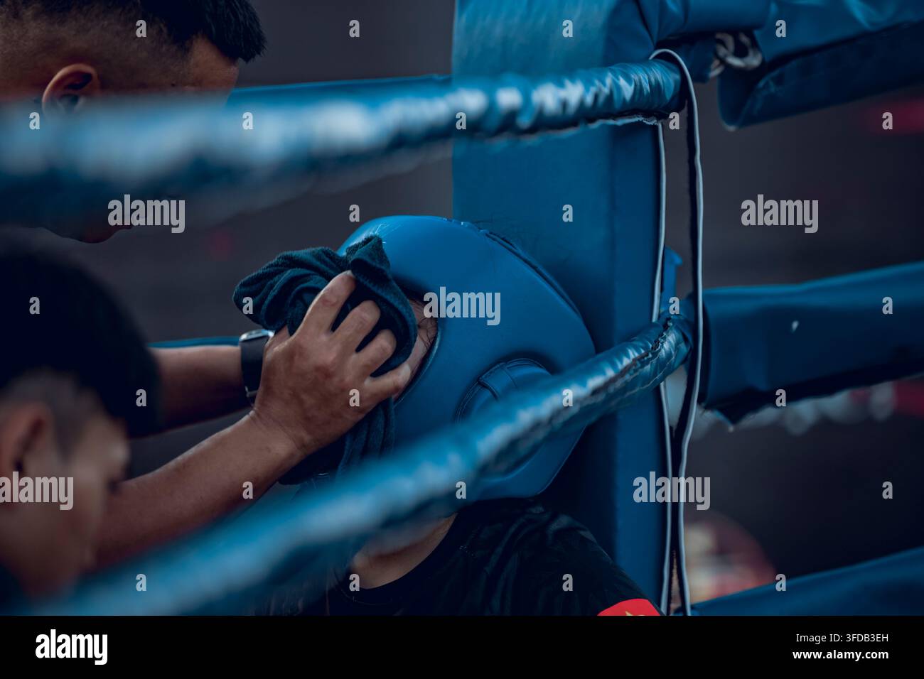 VIETNAM - 16 AGOSTO 2026: Vista dettagliata attraverso le corde da boxe mentre un assistente usa un asciugamano per asciugare il sudore da un giovane atleta, visibile dietro Foto Stock