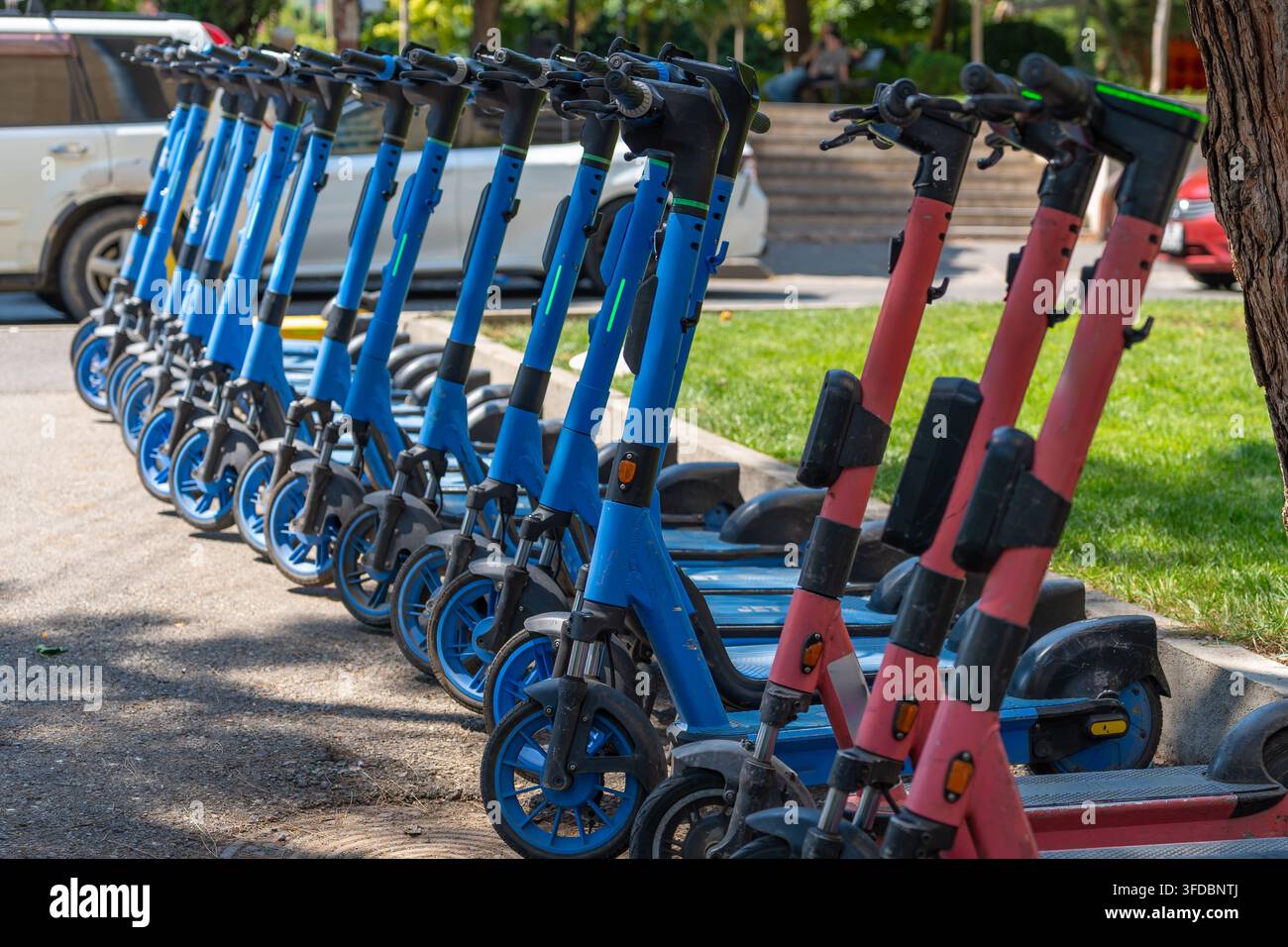 Una flotta di scooter elettrici condivisi, alcuni blu e altri rosa, sono allineati ordinatamente su una superficie pavimentata vicino a un'area erbosa e un albero Foto Stock