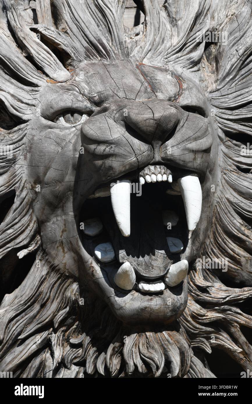 Scultura radice testa di leone Foto Stock
