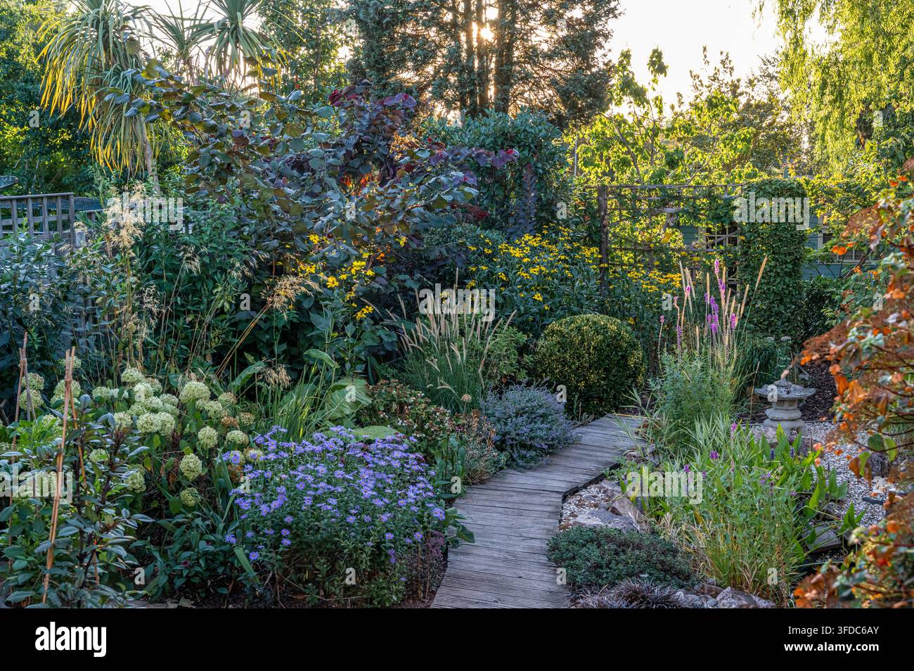 Giardino inglese di fine estate, al mattino presto con il sole che sorge. Foto Stock