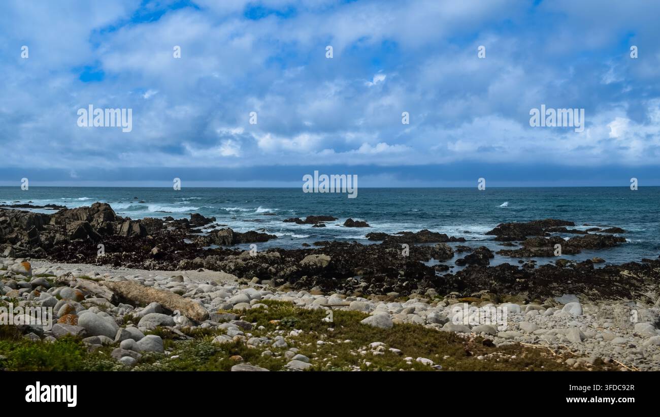 Costiera rocciosa con ciottoli arrotondati, legna galleggiante e onde che si infrangono ad Asilomar State Beach sulla penisola di Monterey in California. Foto Stock