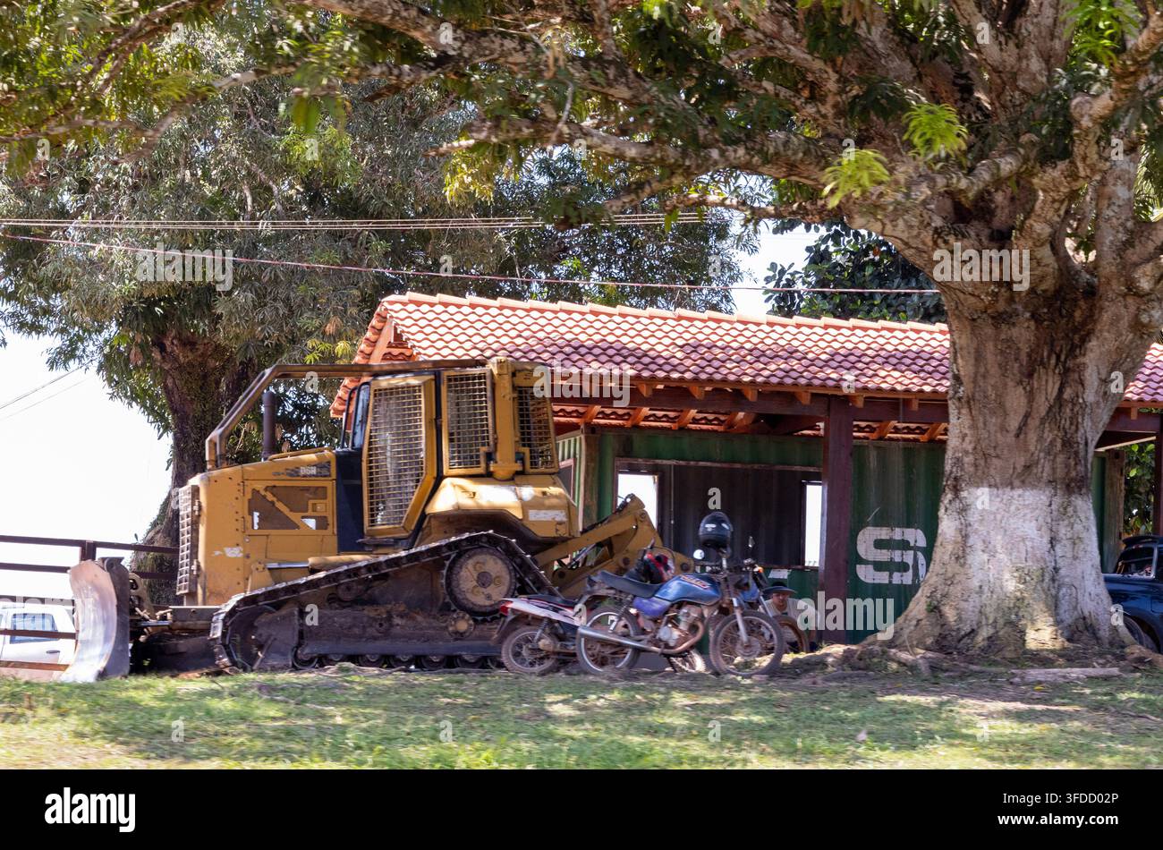 Bulldozer giallo parcheggiato accanto a un capannone per container di spedizione e a un grande albero sotto una luce solare intensa Foto Stock