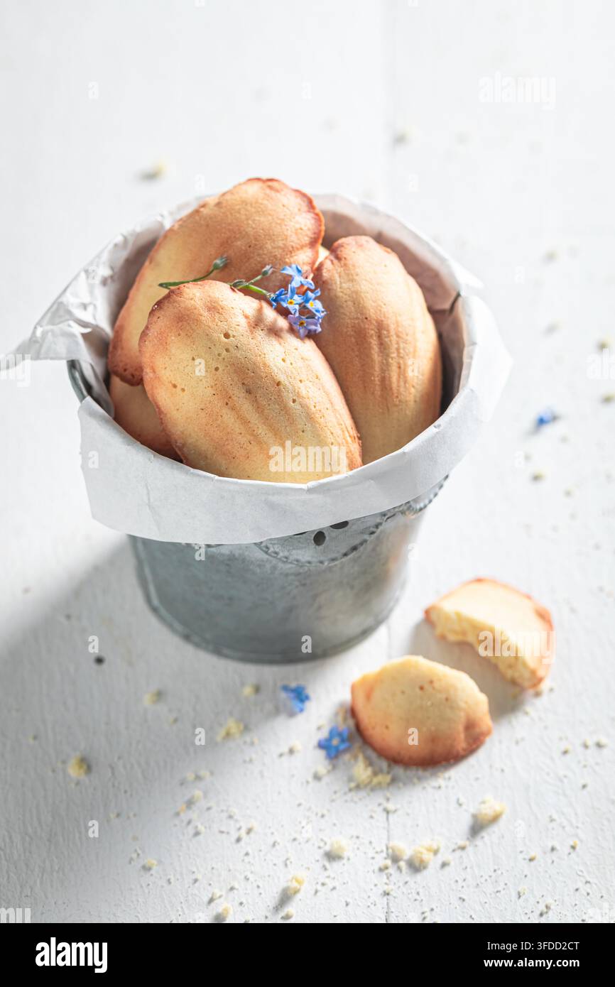 Deliziosi biscotti Madeleine serviti come dolcetti francesi. Madeleines deliziose gustate come classiche paste francesi. Foto Stock