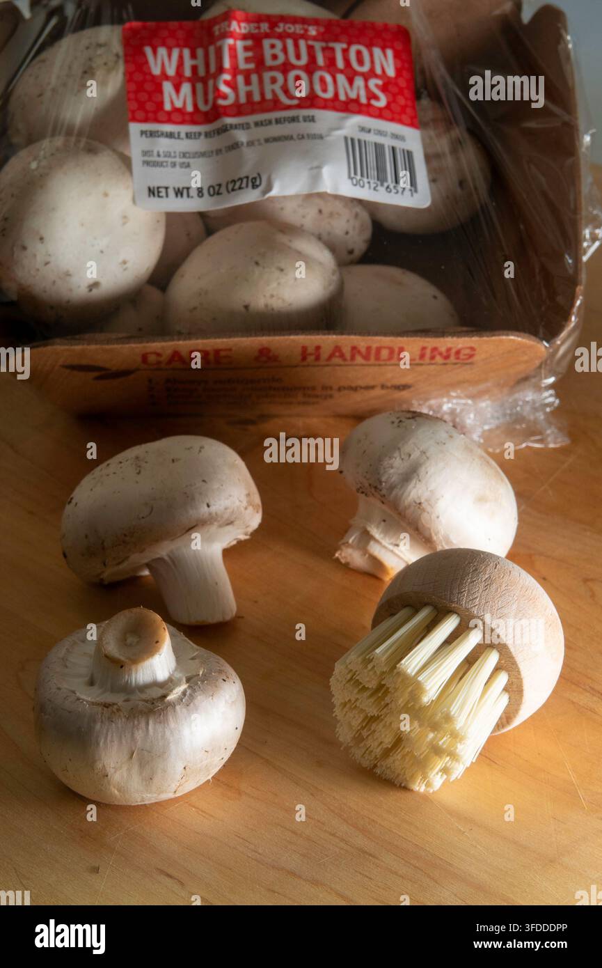 Una spazzola per funghi è uno strumento da cucina utilizzato per pulire a secco detriti e sporcizia dai funghi bianchi freschi, 2026, USA Foto Stock