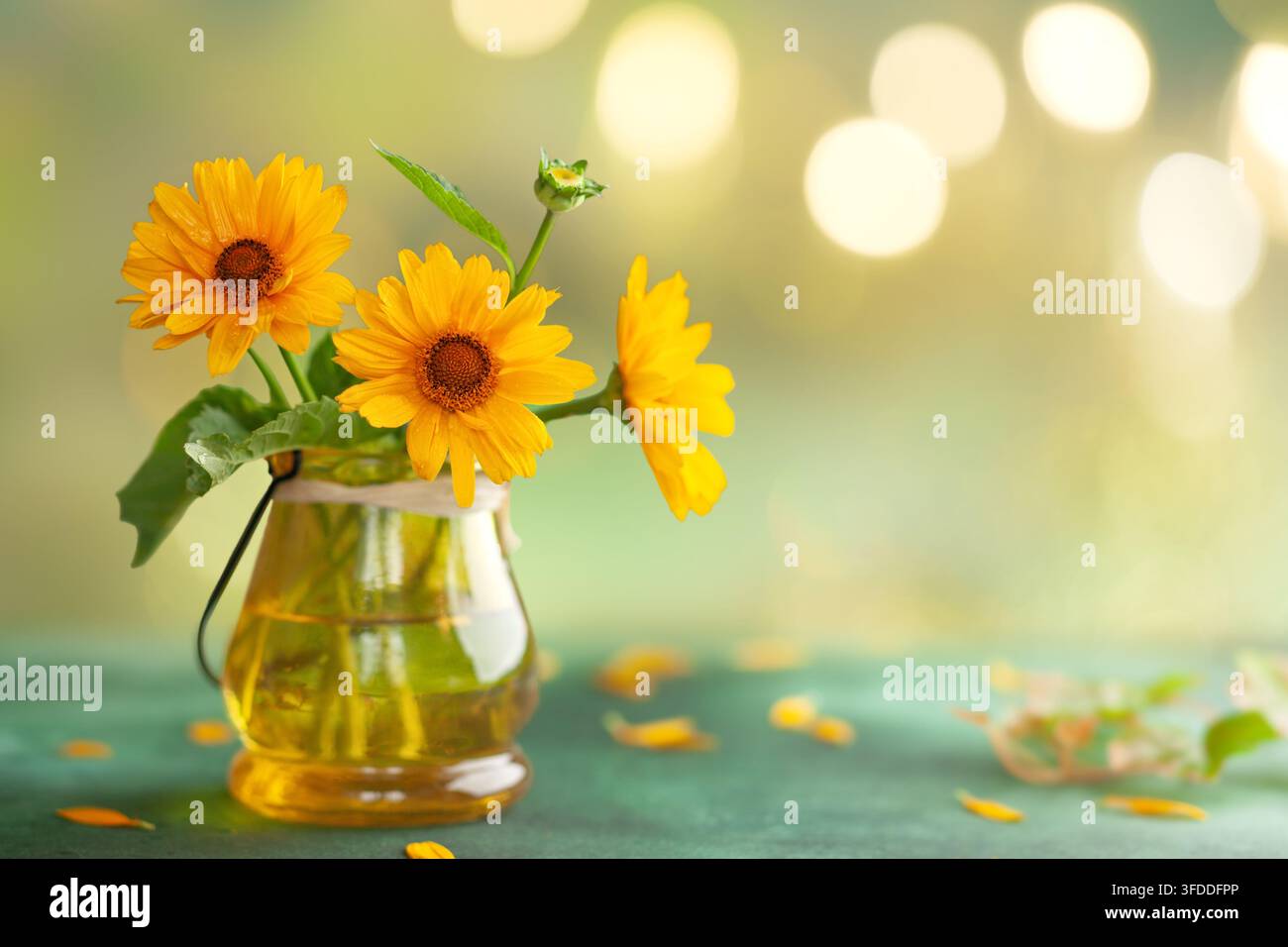 Fiori gialli in vaso di vetro con luci bokeh morbide per la decorazione domestica e il design di biglietti di auguri Foto Stock