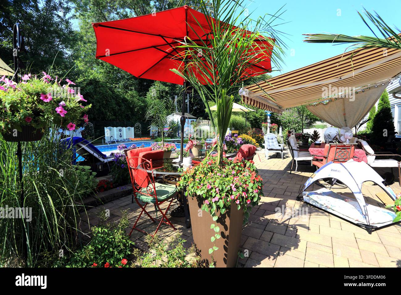 Suburban backyard Long Island NY Foto Stock